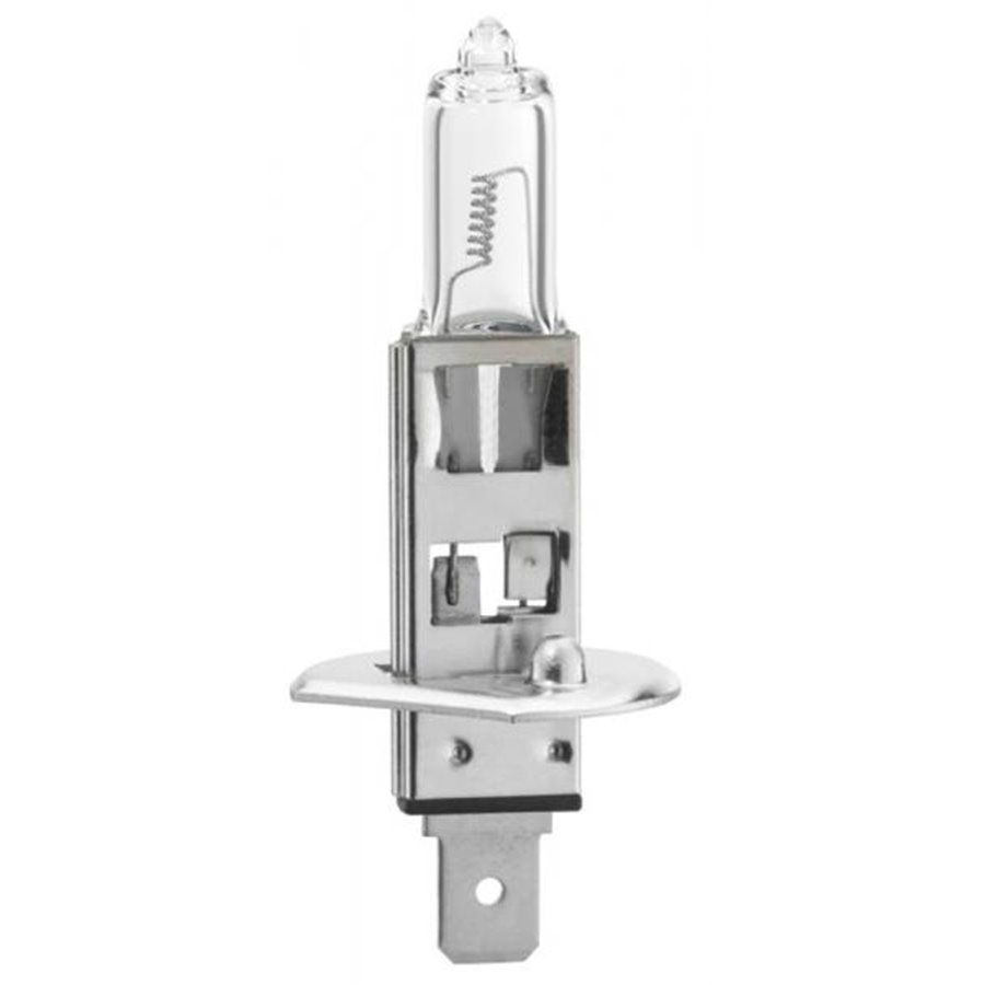 Lampadina Pure Light 12V 55W H1