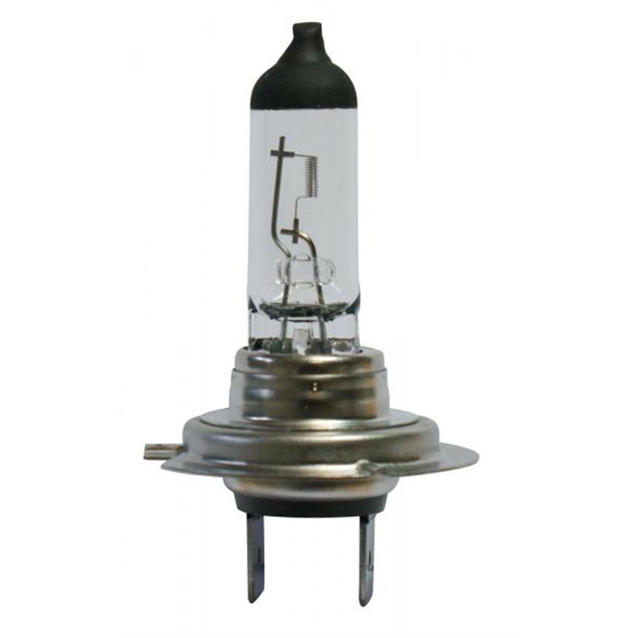 Lampadina Trucklight 24V 70W H7