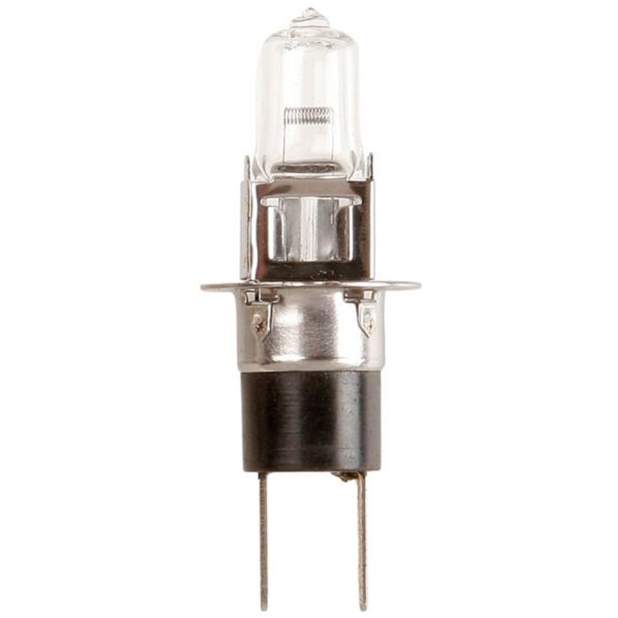 Lampadina importazione 12V 55W