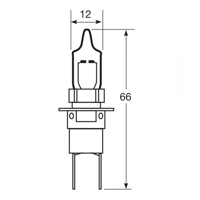 Lampadina importazione 12V 55W