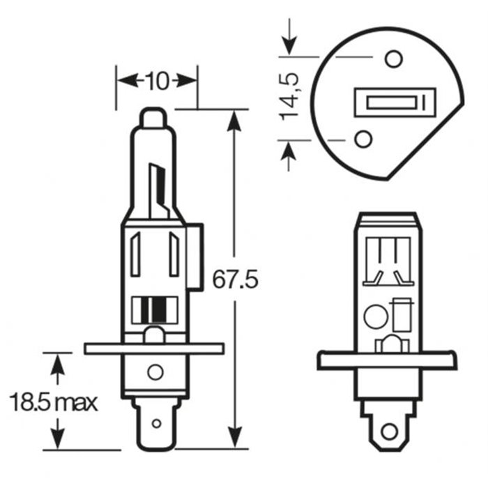 Lampadina Long Life 12V 55W H1