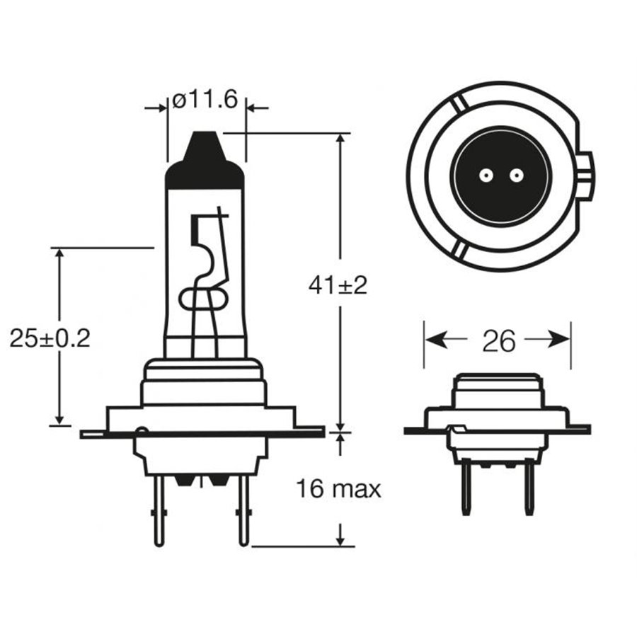 Lampadina Long Life 12V 55W H7