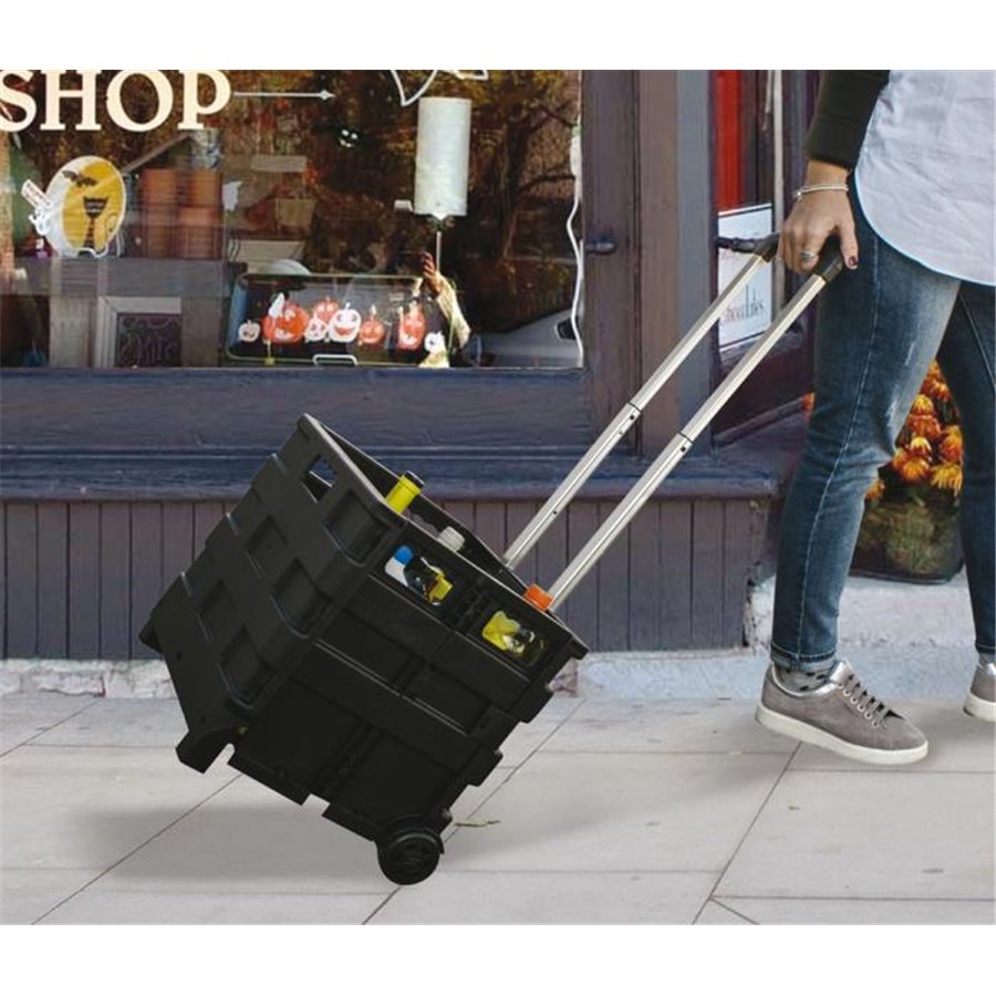 Carrello portatile pieghevole Trolly Carry