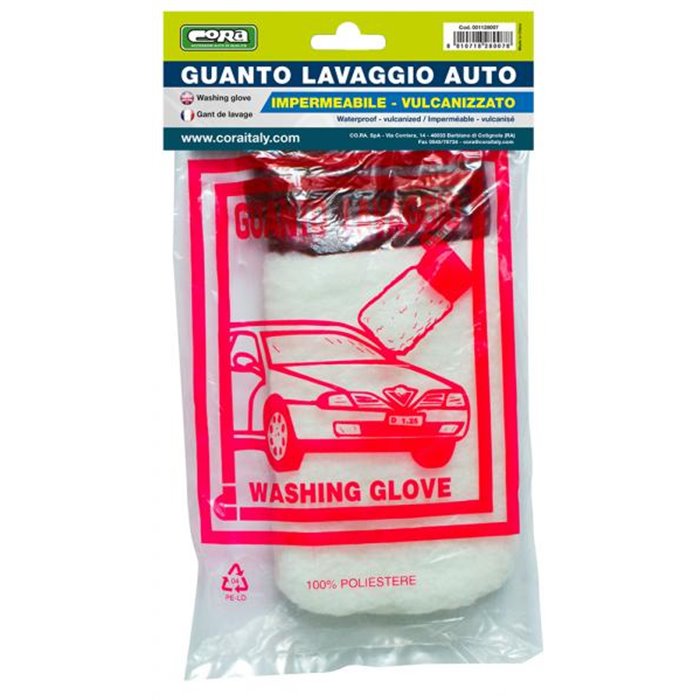 Guanto lavaggio auto