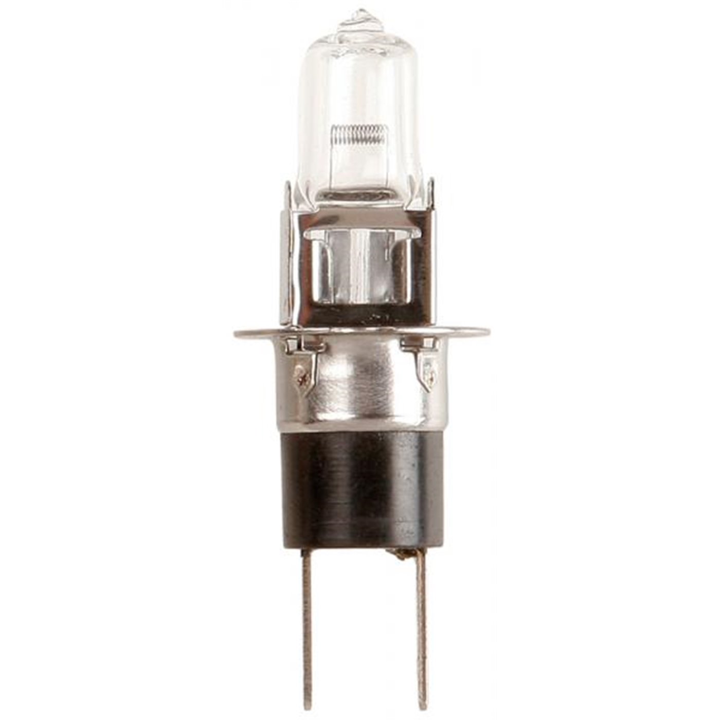 Lampadina importazione 12V 55W