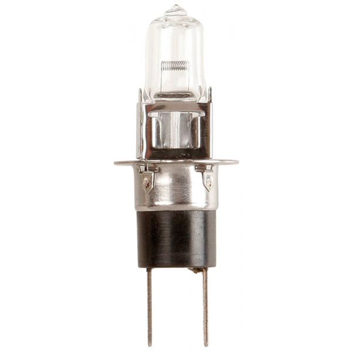 Lampadina importazione 12V 55W