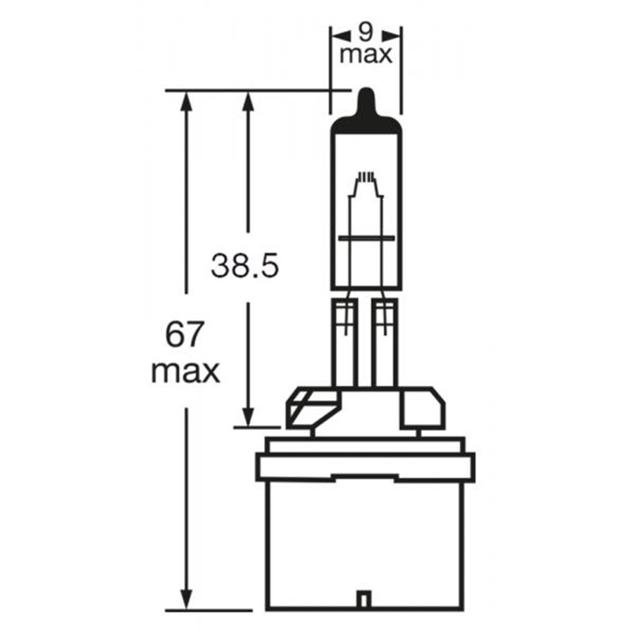 Lampadina 12V 50W