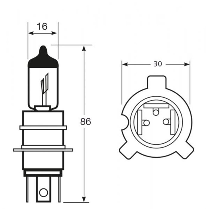 Lampadina importazione 12V 65/55W