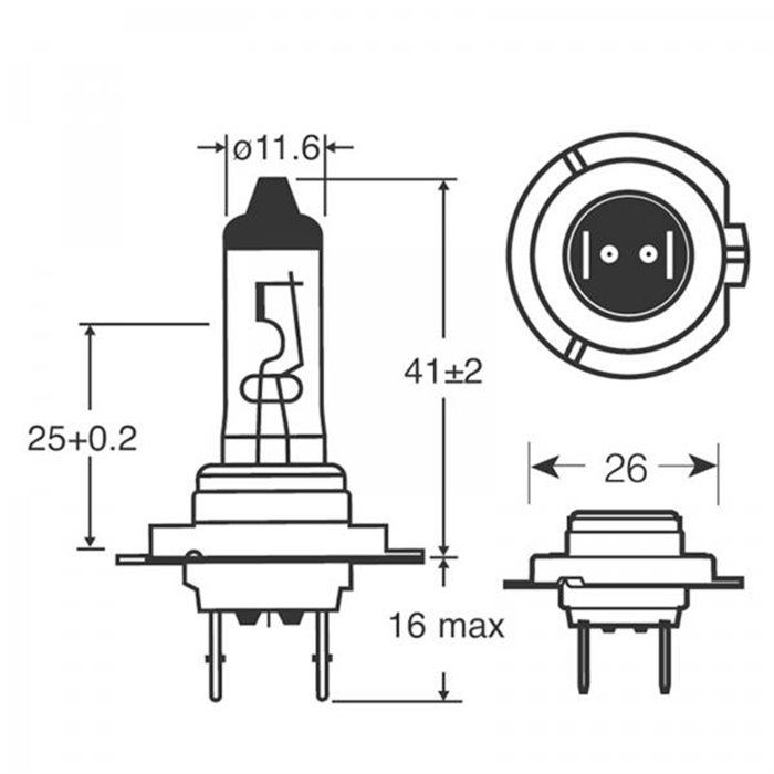 Lampadine Xenon100 H7 12V 55W