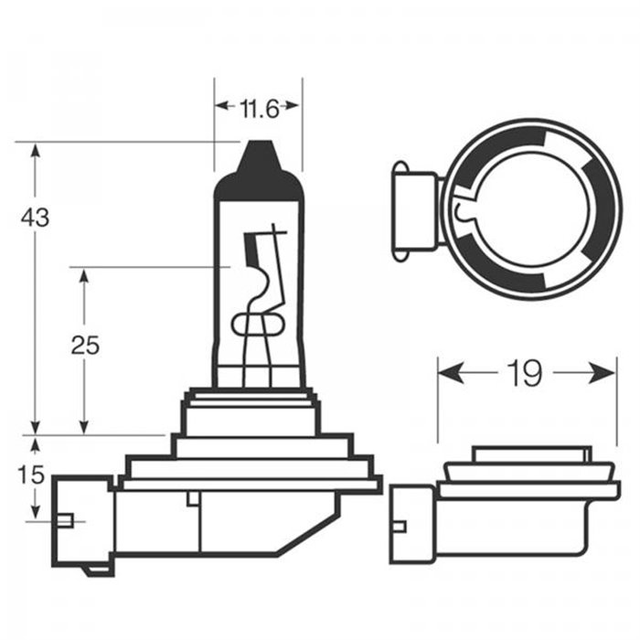 Lampadine Xenon150 H11 12V