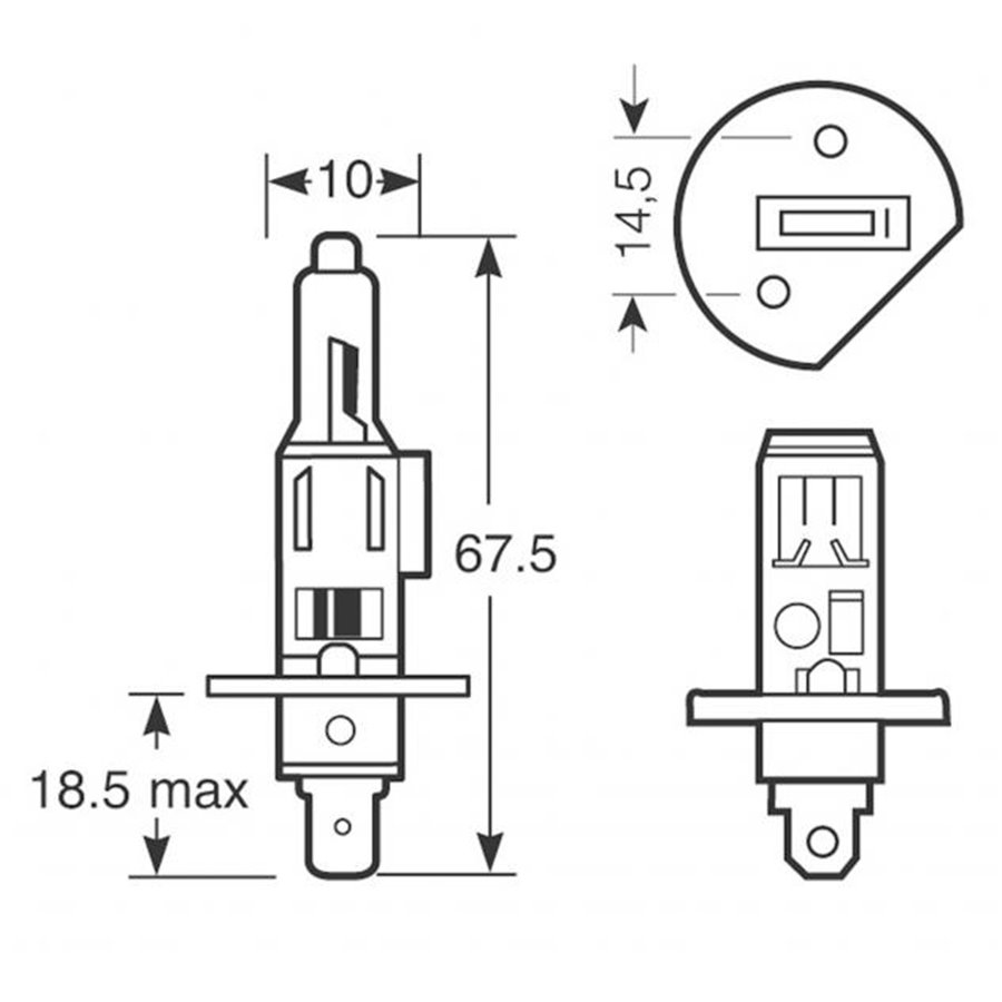 Lampadine RallySport H1 12V 100W