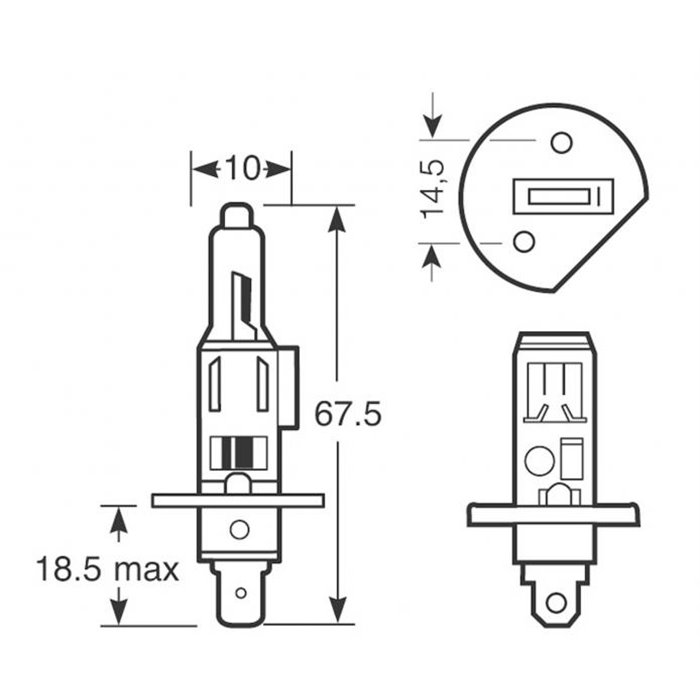 Lampadine Xenon5000 H1 12V