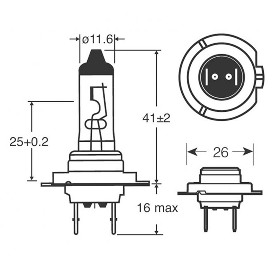 Lampadine SportzBlue H7 12V 80W