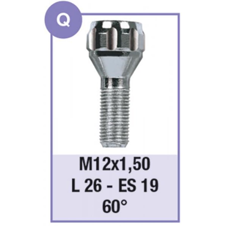 Serie 4 bulloni antifurto per ruote mod. Q