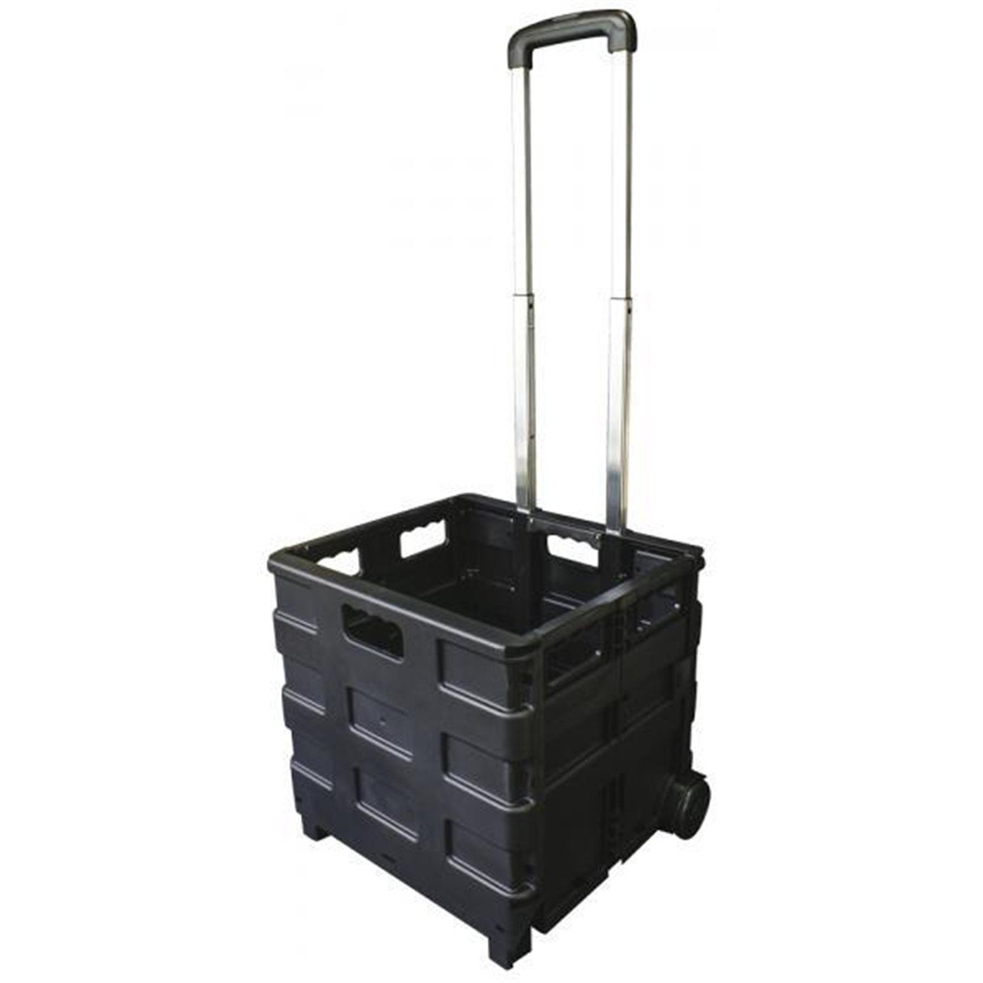 Carrello portatile pieghevole Trolly Carry