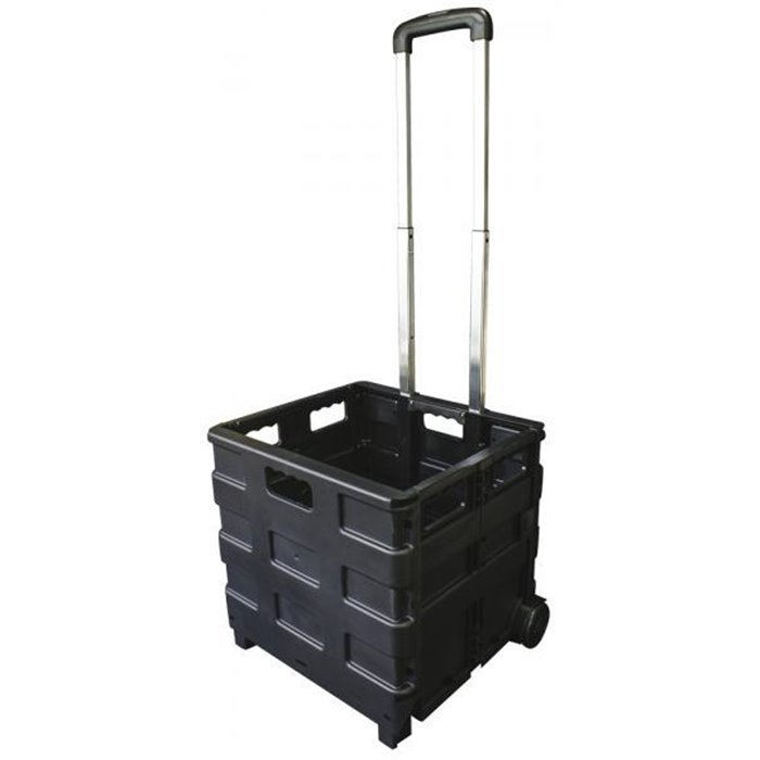 Carrello portatile pieghevole Trolly Carry