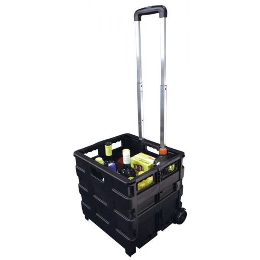 Carrello portatile pieghevole Trolly Carry