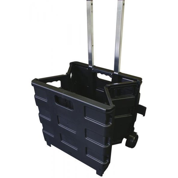 Carrello portatile pieghevole Trolly Carry