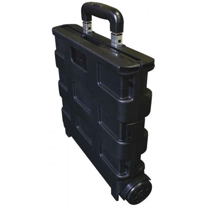 Carrello portatile pieghevole Trolly Carry