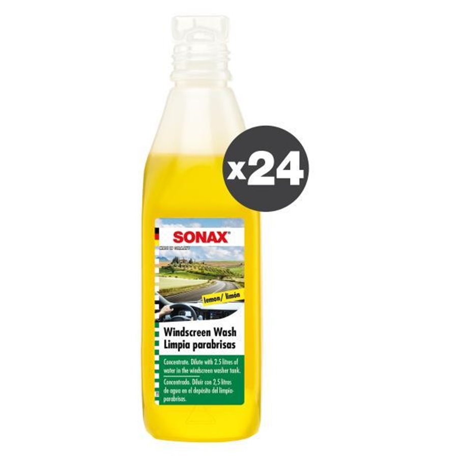 Conf. 24 pz Detergente concentrato per lavavetri 250 mL