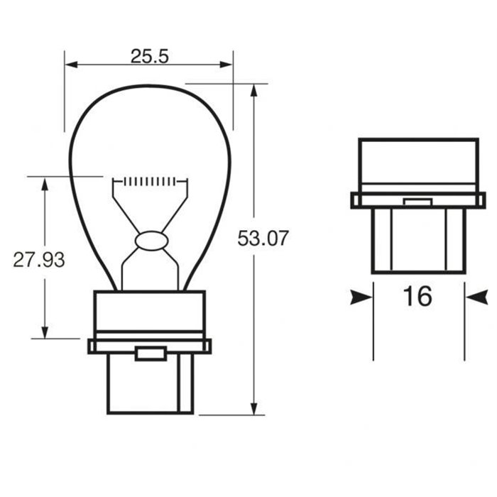 Lampadina 12V 27W P27W