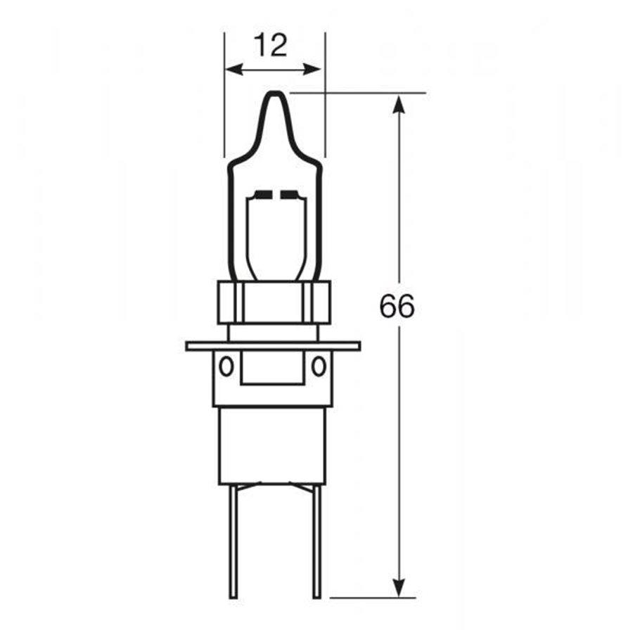 Lampadina importazione 12V 55W