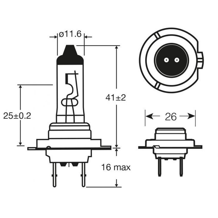 Lampadina alogena 12V 55W H7 