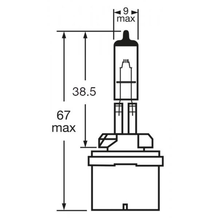 Lampadina 12V 50W