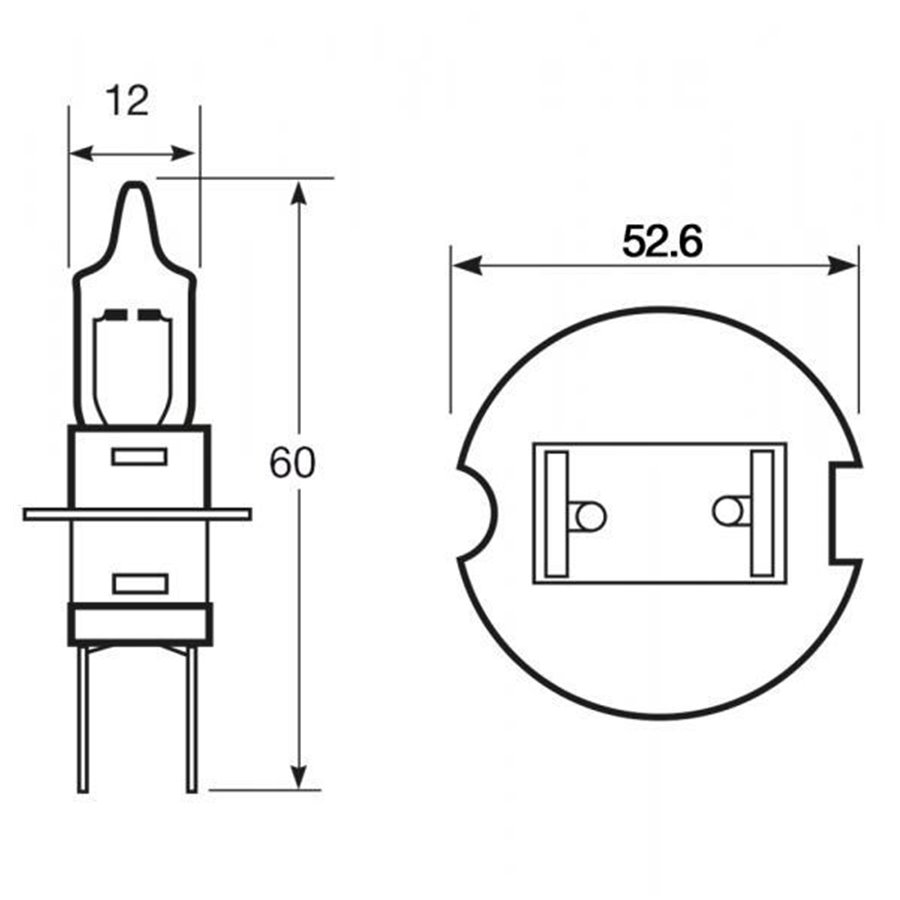 Lampadina importazione 12V 55W