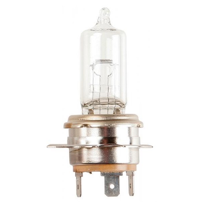 Lampadina importazione 12V 55/40W