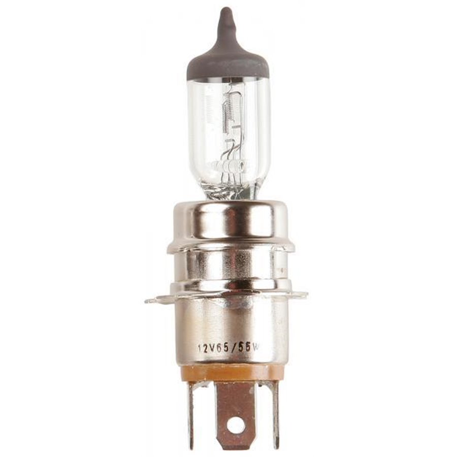 Lampadina importazione 12V 65/55W