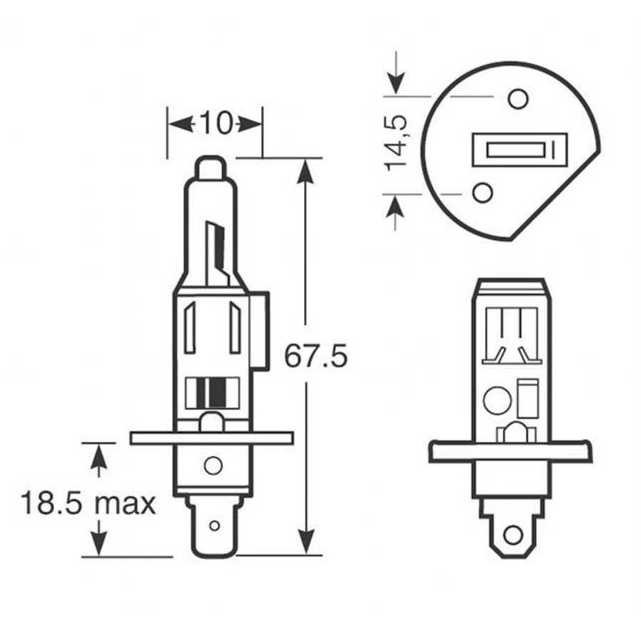 Lampadine Xenon100 H1 12V 55W