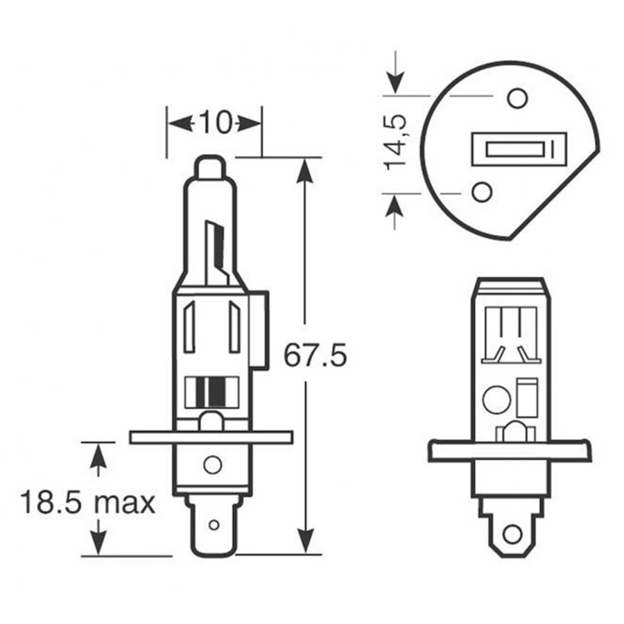 Lampadine Xenon150 H1 12V