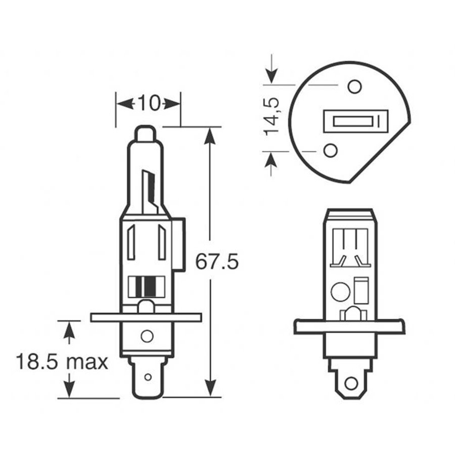 Lampadine SportzBlue H1 12V 80W