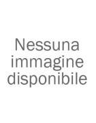 NV250 5-p Furgone 19-21 con Punti Fissi